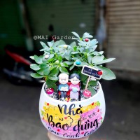 Ngũ Gia Bì 228k