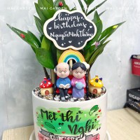 CHẬU CÂY KIM TIỀN KT282