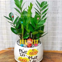 CHẬU CÂY KIM TIỀN KT295