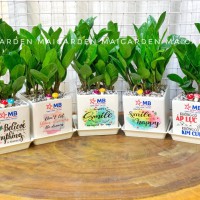 CHẬU CÂY KIM TIỀN IN LOGO CÔNG TY - CKT199