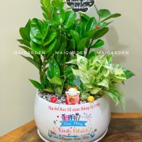 CHẬU CÂY KIM TIỀN MIX TRẦU BÀ - KT480