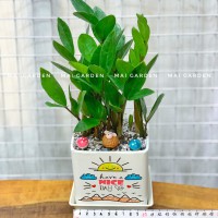 CHẬU CÂY KIM TIỀN KT199