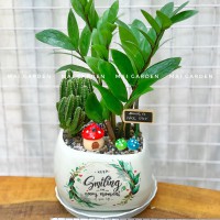CHẬU CÂY KIM TIỀN MIX XƯƠNG RỒNG KTXR252