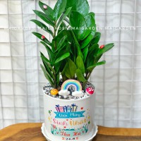 CHẬU CÂY KIM TIỀN GHI TÊN RIÊNG KT214
