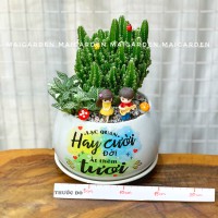 CHẬU CÂY XƯƠNG RỒNG MIX CẨM NHUNG XANH XR267