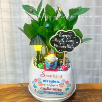 CHẬU CÂY KIM TIỀN DECOR CHỮ THEO YÊU CẦU + LOGO