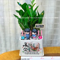 CHẬU CÂY KIM TIỀN KTN224