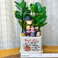 CÂY KIM TIỀN CKT248