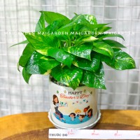 CHẬU CÂY TRẦU BÀ CTB146