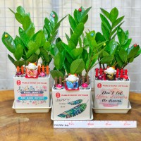CHẬU CÂY KIM TIỀN IN LOGO CÔNG TY KTC239