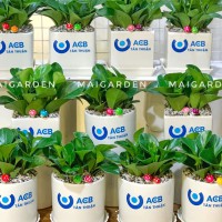 CHẬU CÂY TRƯỜNG SINH IN LOGO CÔNG TY - TS196