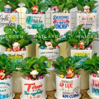 CHẬU CÂY TRƯỜNG SINH - TS211