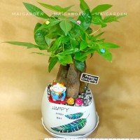CHẬU CÂY KIM NGÂN - KNM275