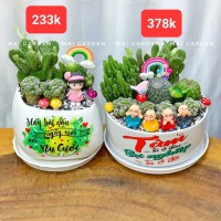 CHẬU CÂY XƯƠNG RỒNG ( GIÁ TRÊN HÌNH)