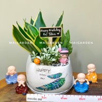 CHẬU CÂY LƯỠI HỔ MIX XƯƠNG RỒNG, CẨM NHUNG - LH292