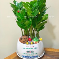 CHẬU CÂY KIM TIỀN GHI THÊM TÊN RIÊNG- KT315