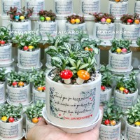 CHẬU CÂY CẨM NHUNG IN CHỮ TRÊN CHẬU THEO YÊU CẦU - CN110