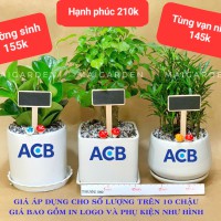 TÊN CÂY VÀ GIÁ TRÊN HÌNH