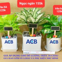 TÊN CÂY VÀ GIÁ NHƯ TRÊN HÌNH