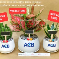 TÊN CÂY VÀ GIÁ NHƯ TRÊN HÌNH