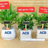 TÊN CÂY VÀ GIÁ NHƯ TRÊN HÌNH
