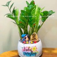 CHẬU CÂY KIM TIỀN - KT294