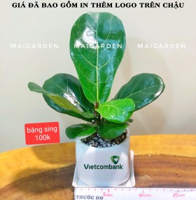 GIÁ ĐÃ GHI TRÊN HÌNH