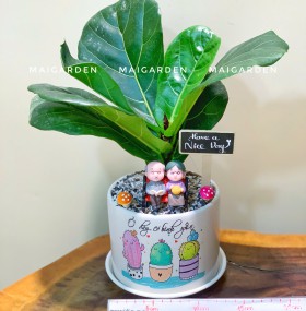 CHẬU CÂY BÀNG SINGAPORE - BS257