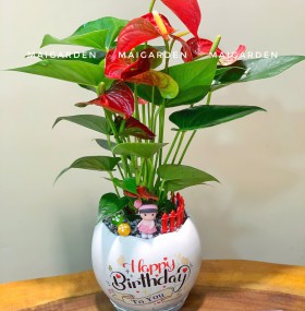 CHẬU CÂY HỒNG MÔN - HM275