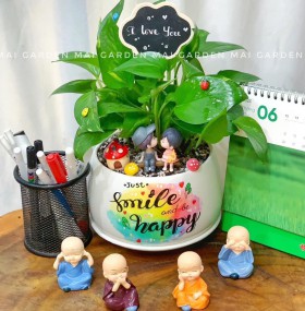 CHẬU CÂY TRẦU BÀ - TB233
