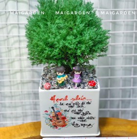 CHẬU CÂY TÙNG BÔNG LAI TBL272