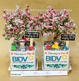 CHẬU CÂY SEN DOLA CỔ THỤ IN LOGO - DLA1B1227