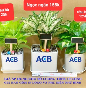 TÊN CÂY VÀ GIÁ NHƯ TRÊN HÌNH
