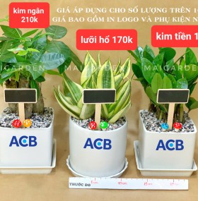 TÊN CÂY VÀ GIÁ NHƯ TRÊN HÌNH